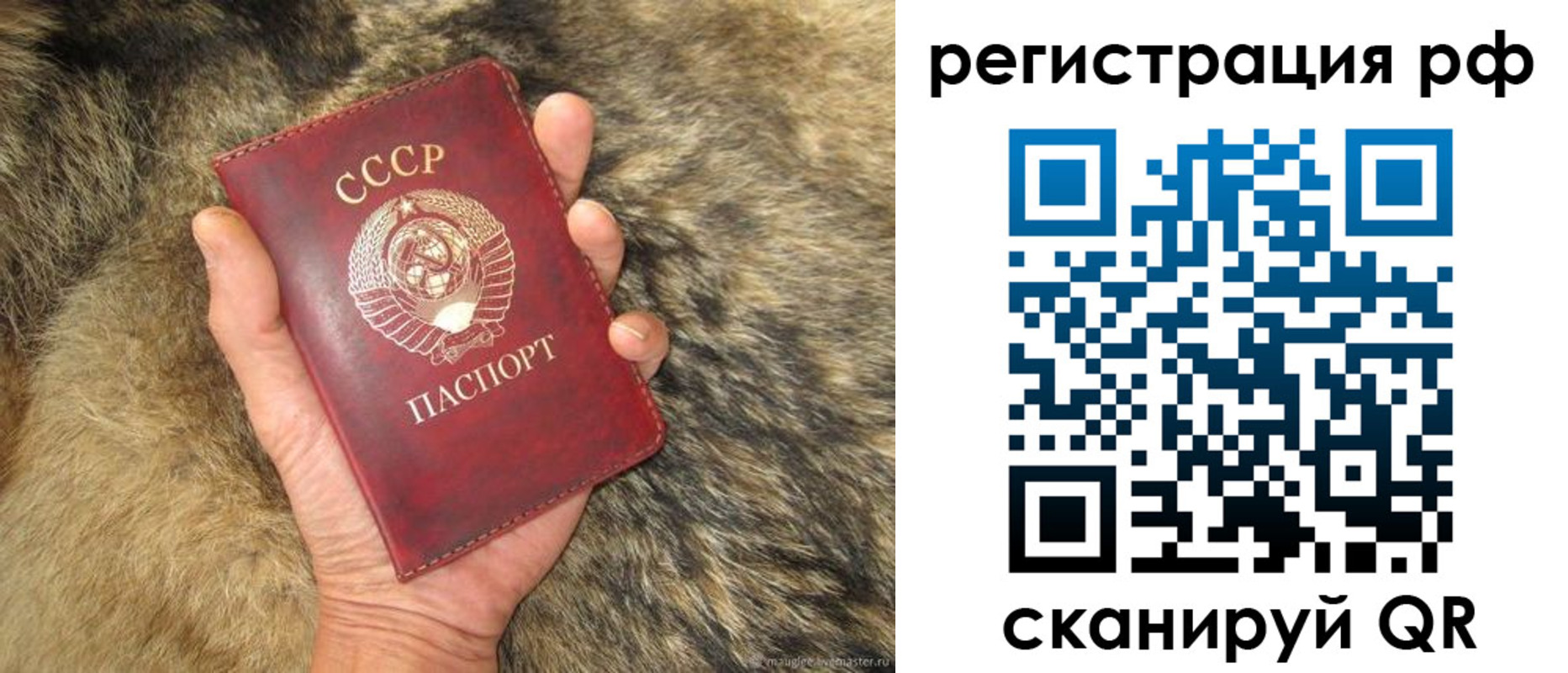 прописка для военкомата в Невеле